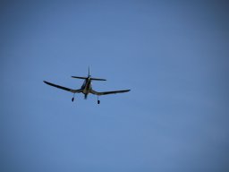 fliegen0803 13